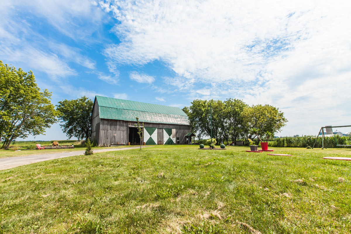 La ferme Doggytown