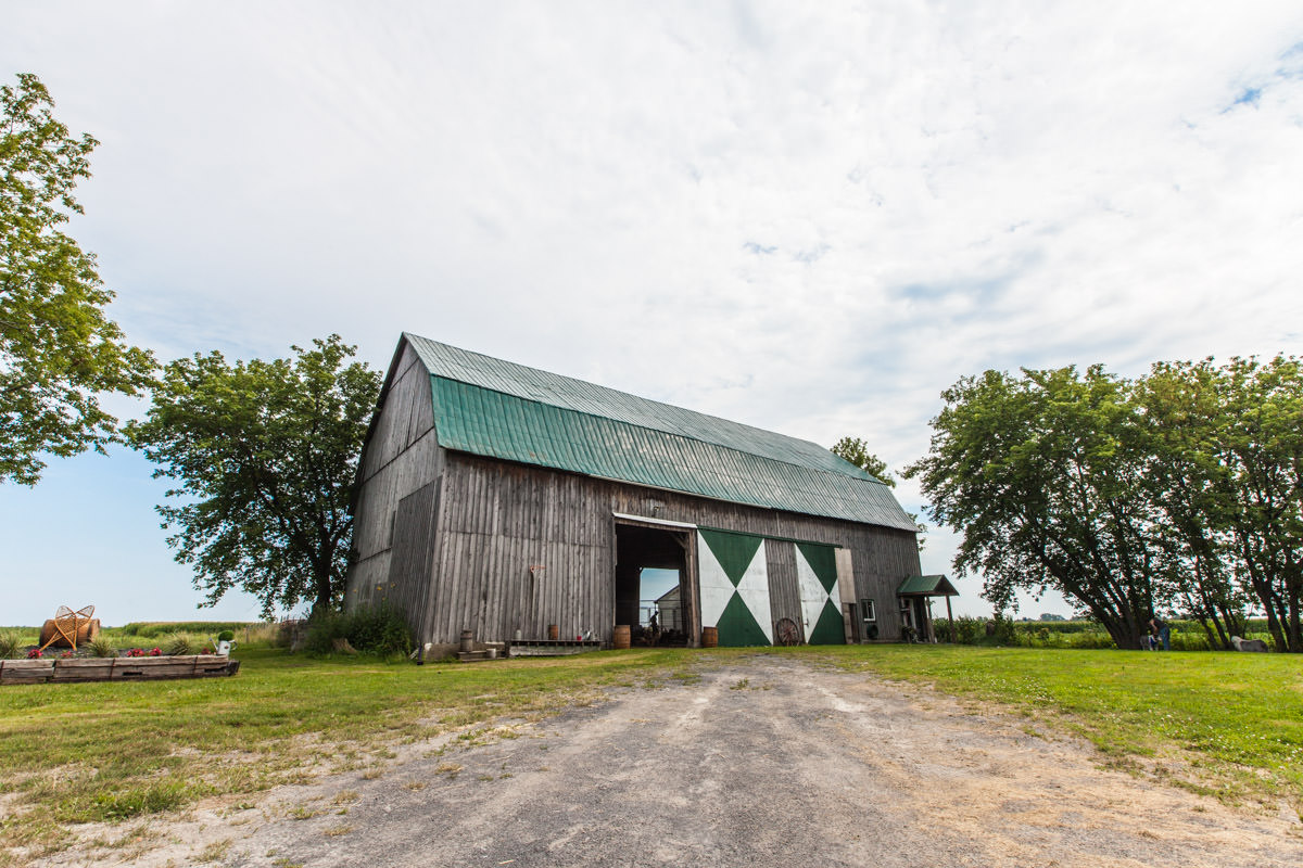 La ferme Doggytown